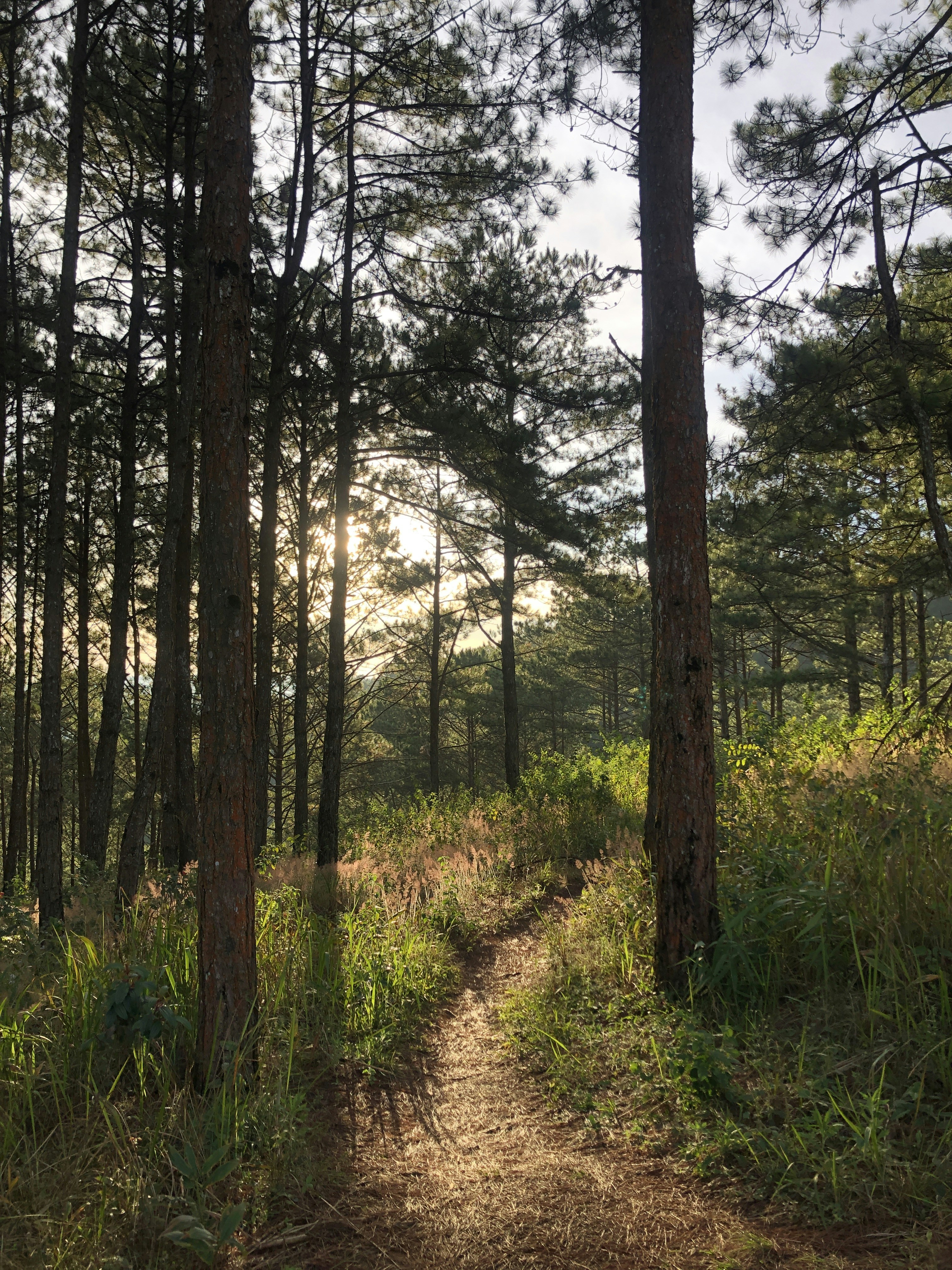 Photo by ricenguyen18