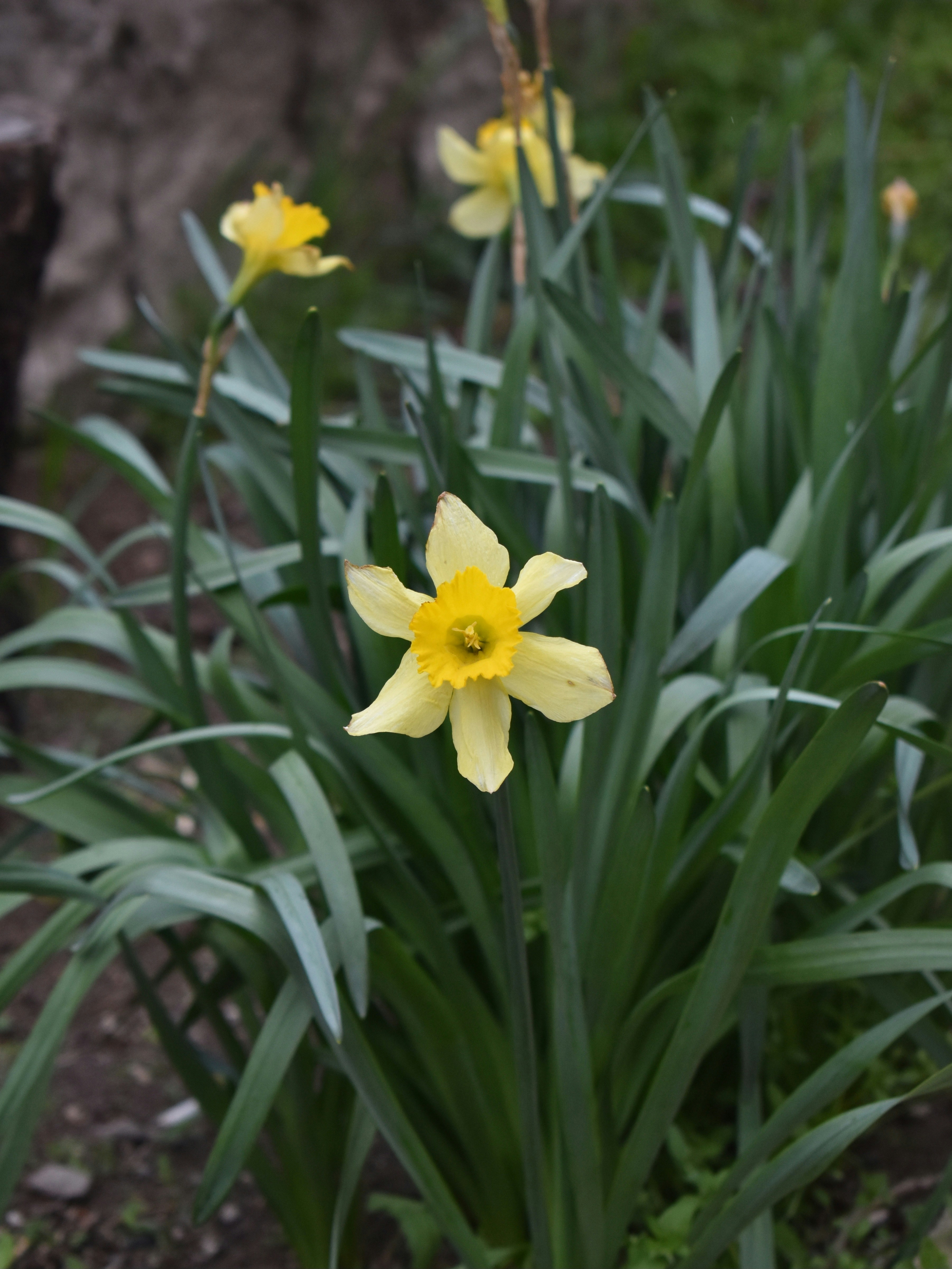 Photo by mustafakonuk