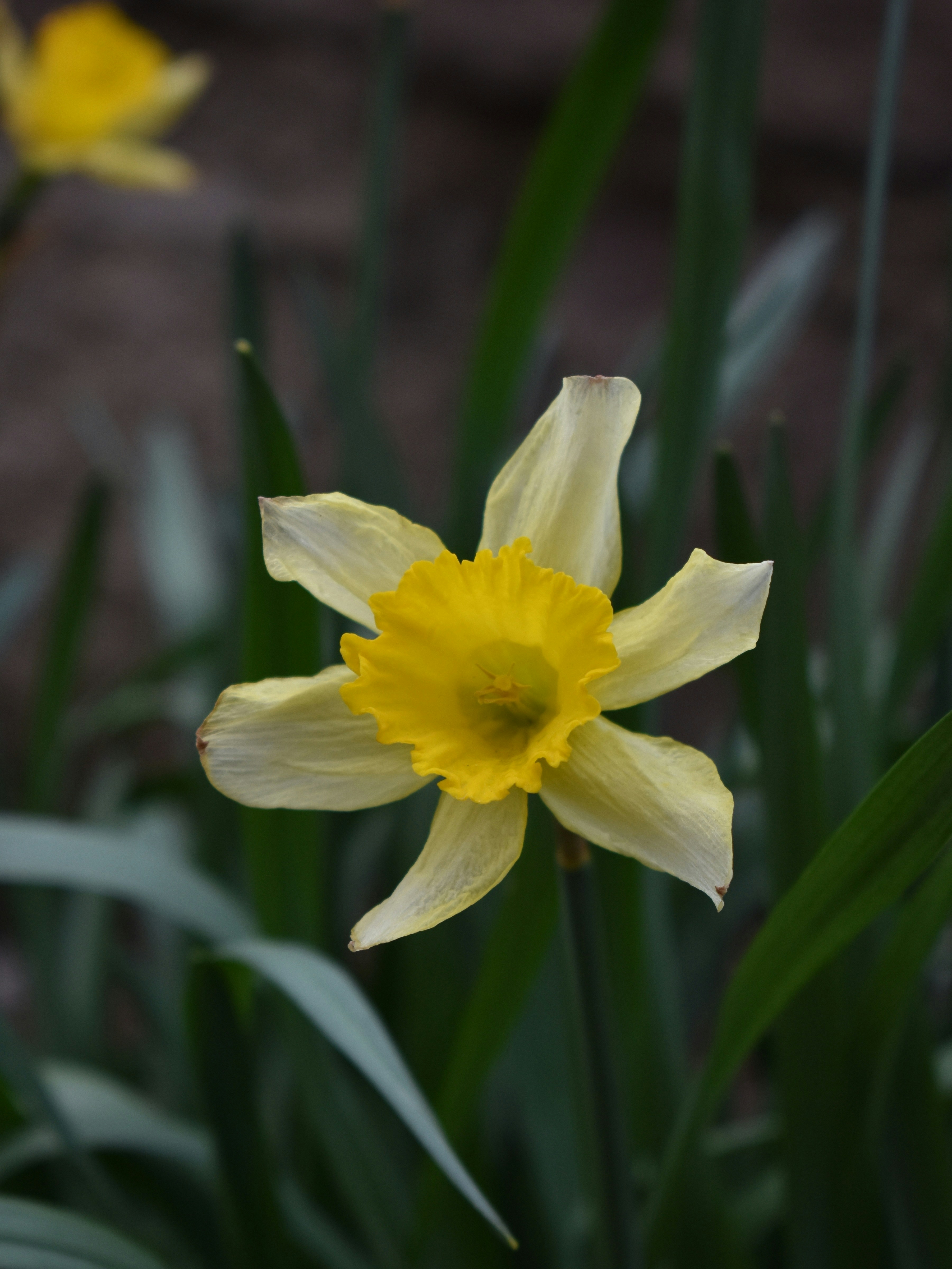 Photo by mustafakonuk