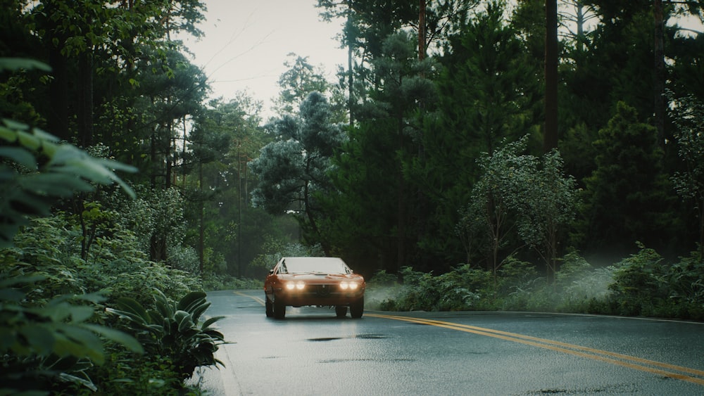 a car driving down a road surrounded by trees