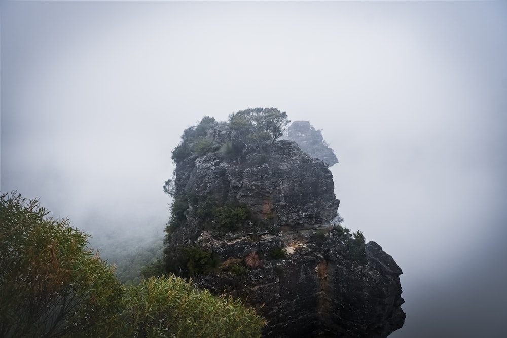 a rock formation with trees on top of it