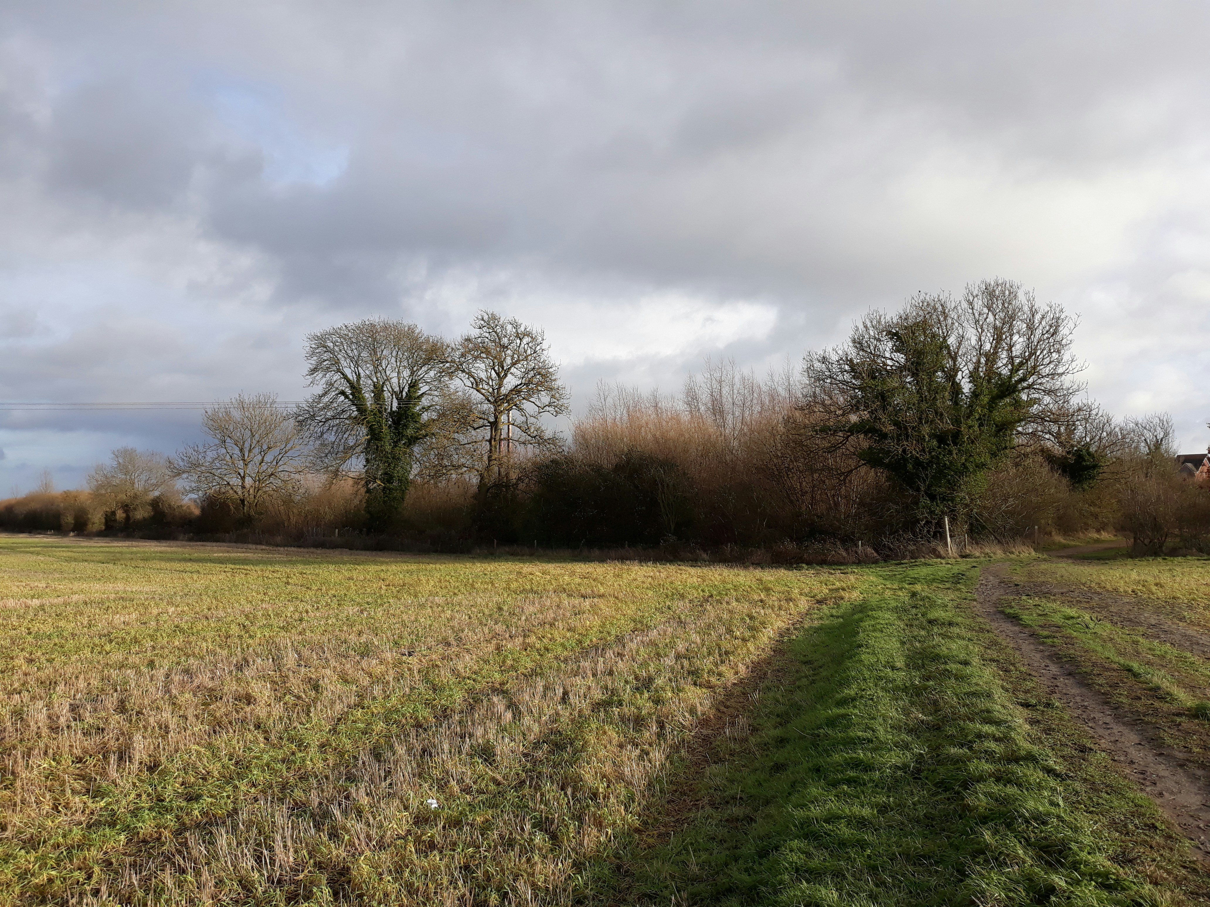 Photo by soe_puchkova