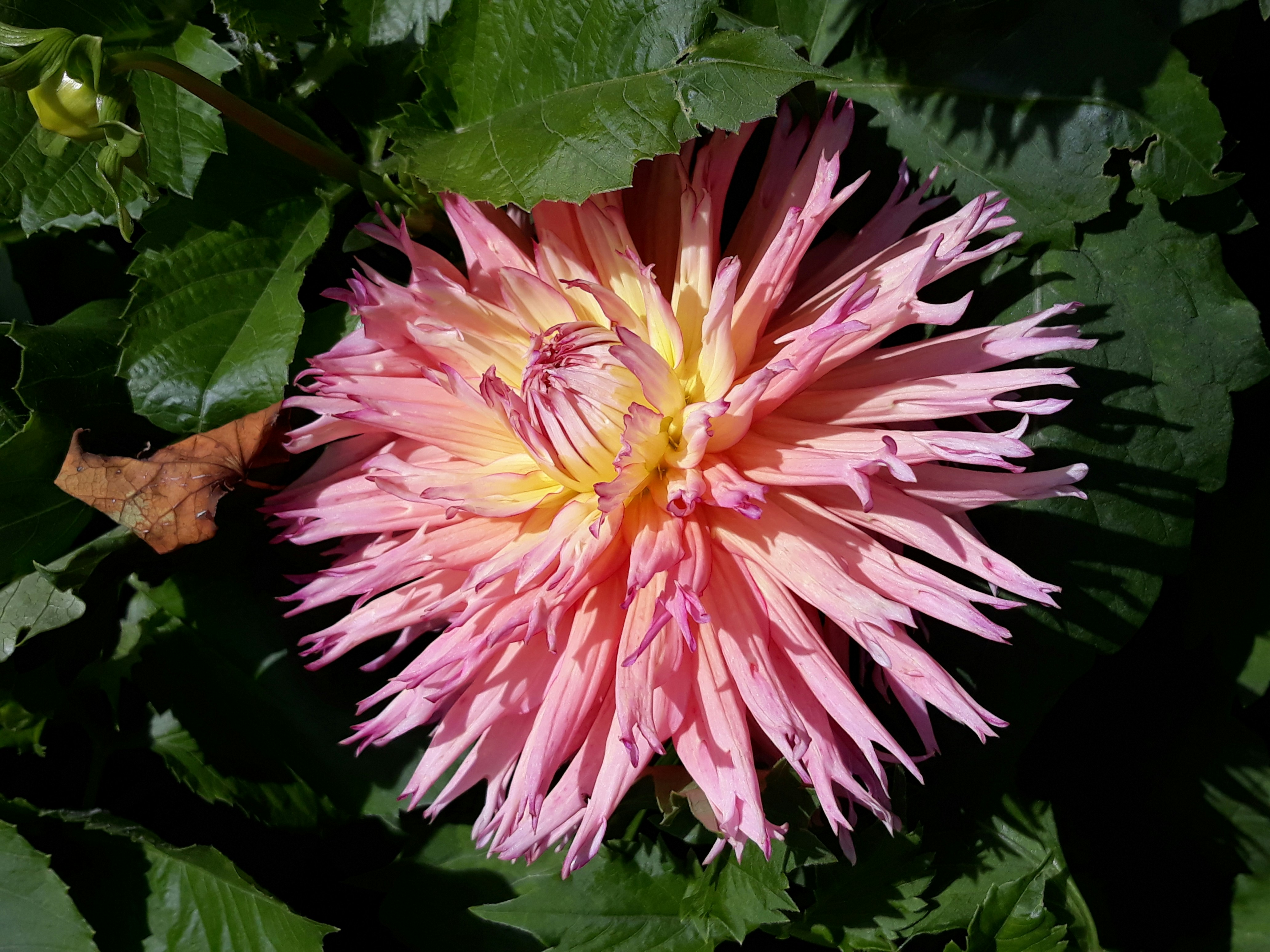 Photo by soe_puchkova