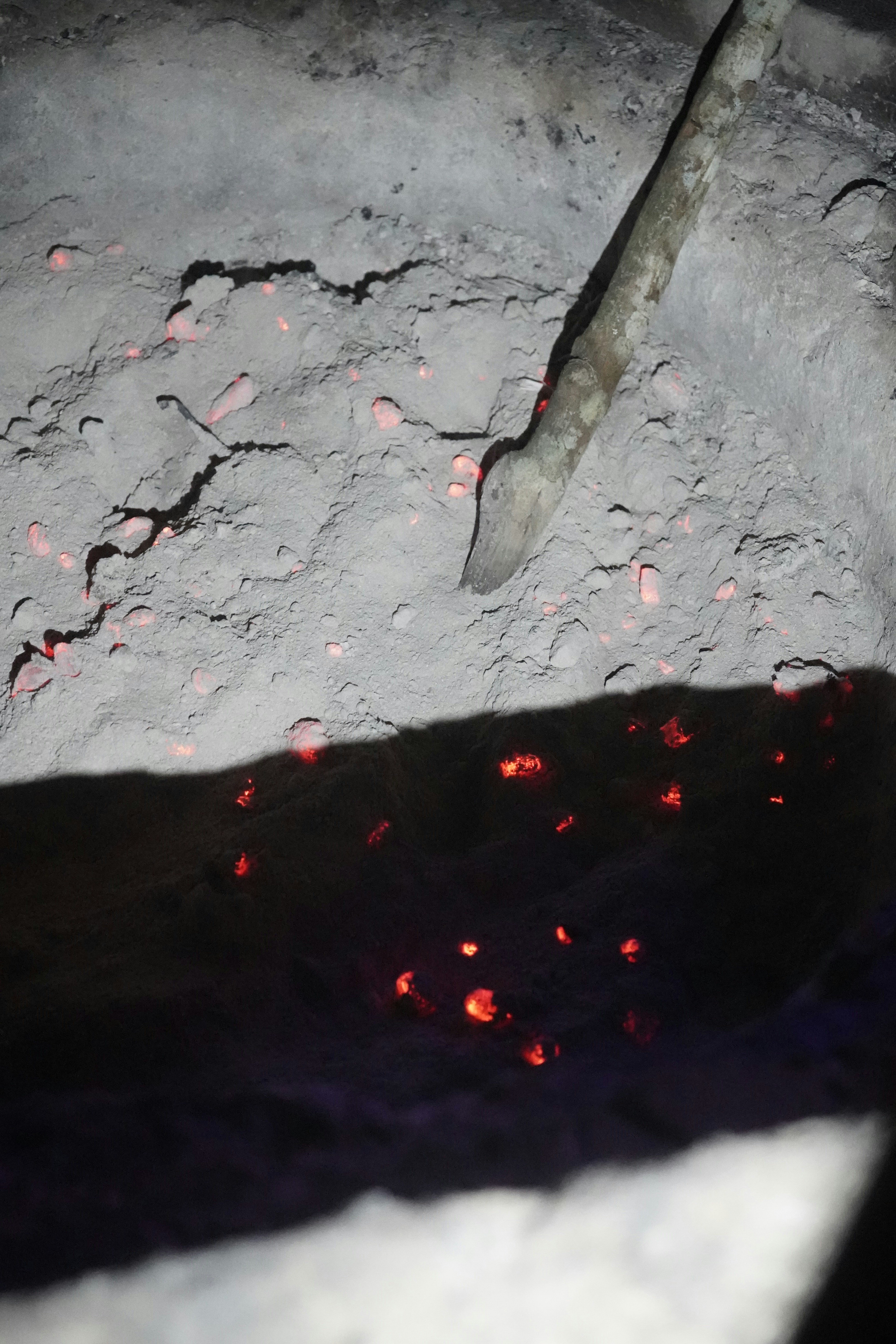 Premium Quality Firewood Supply