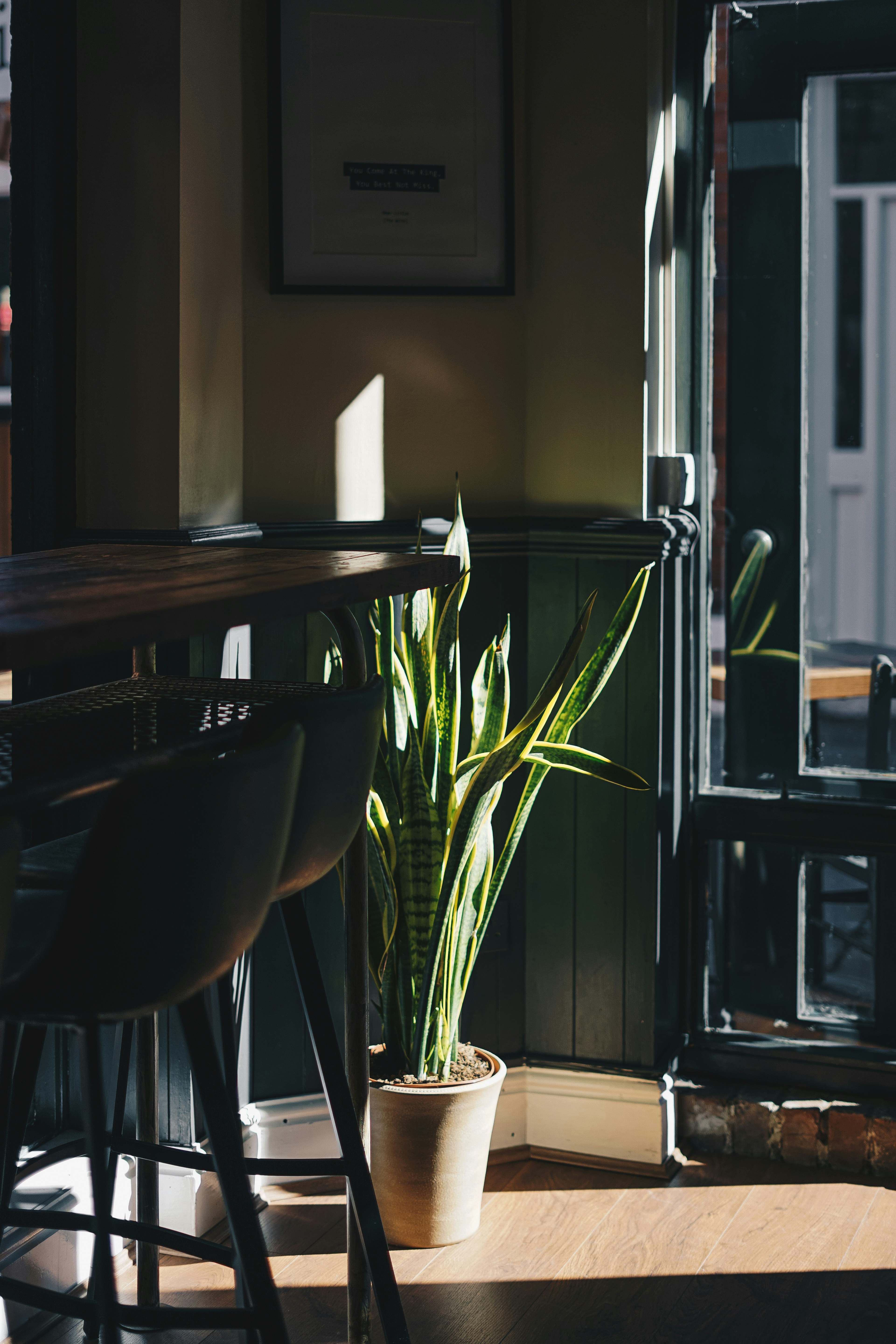 대구룸바, 대구바알바, 대구착석바