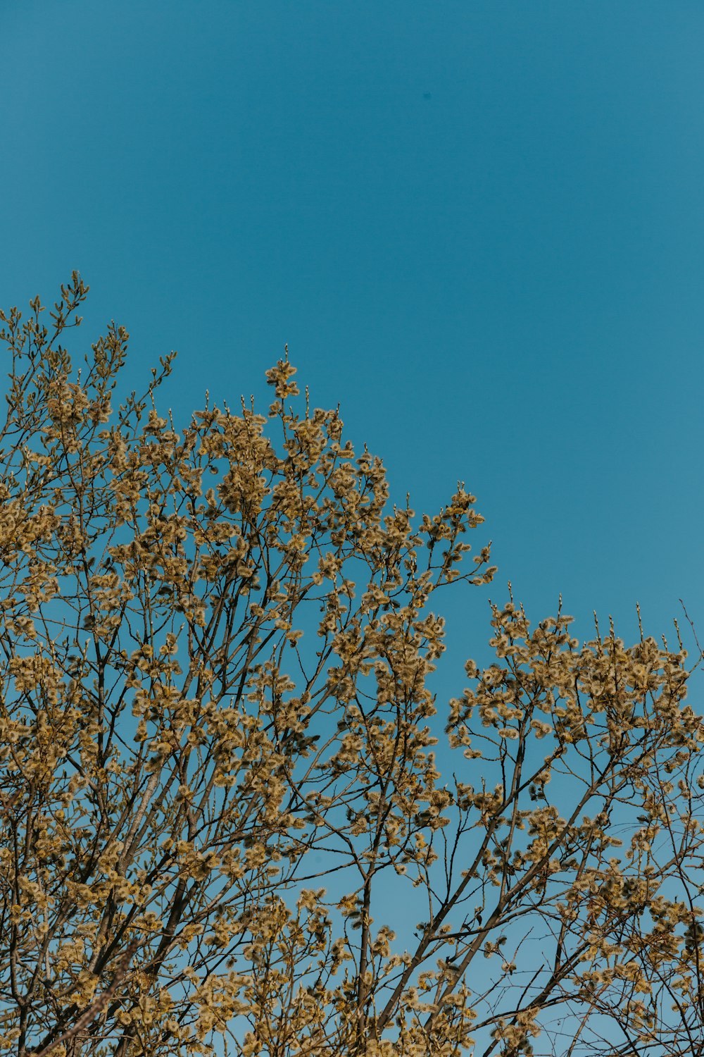 a bird is perched on a tree branch