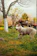 A happy dog named Luna playing in a sunlit backyard, tail wagging enthusiastically.