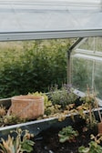 A small greenhouse with clear panels contains a variety of plants, including lavender and leafy greens. A woven basket rests on the soil beside the plants. The background features lush greenery outside the greenhouse.
