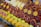 A colorful display of fresh fruit at a market featuring sliced pomegranates, oranges, grapefruits, and whole apples. The fruits are neatly arranged and vibrant in their colors, with some wrapped pineapple pieces visible in the background.