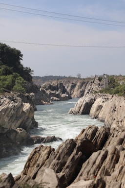 A scenic view of a zip line soaring over lush greenery.