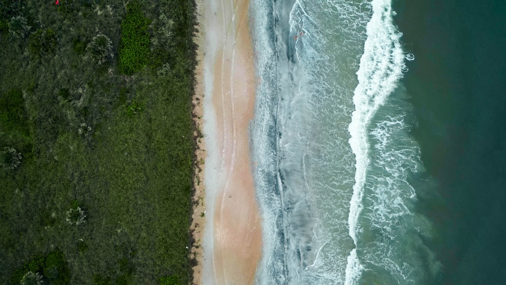 an aerial view of a beach and a body of water