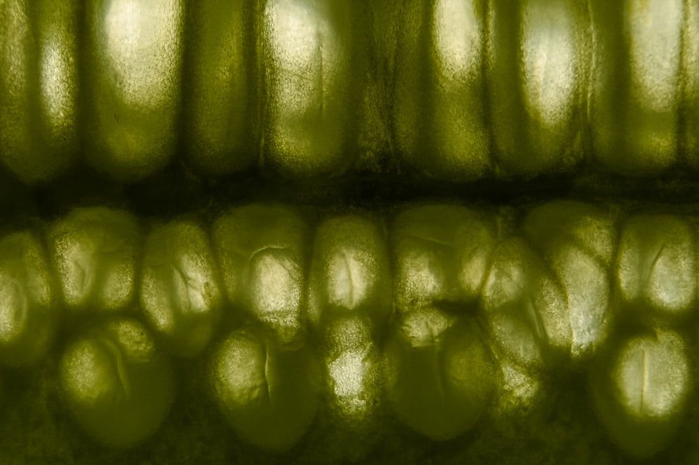 a close up view of a green substance