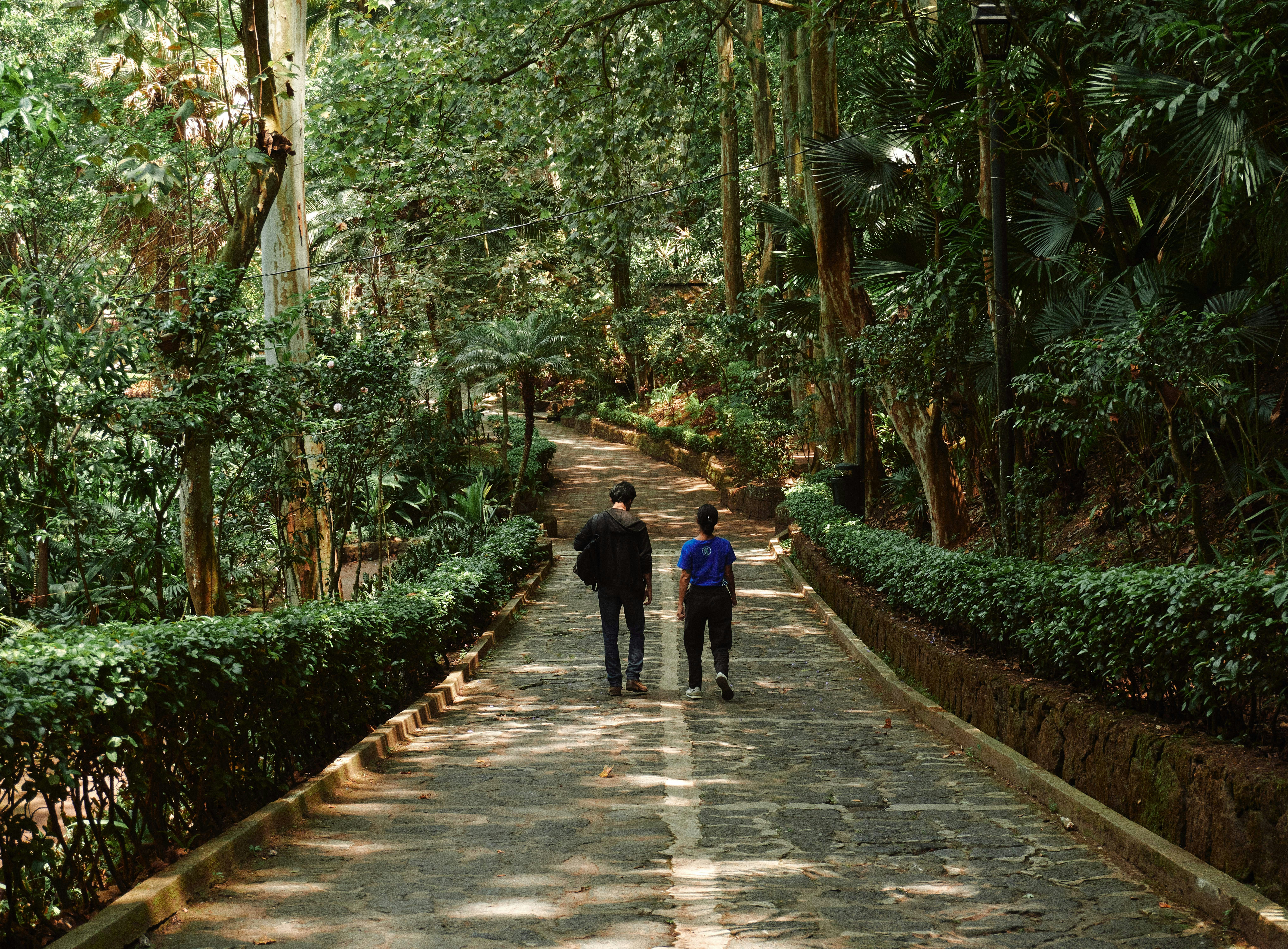 Amigos en el parque