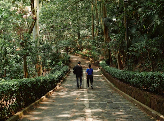 a couple of people that are walking down a path