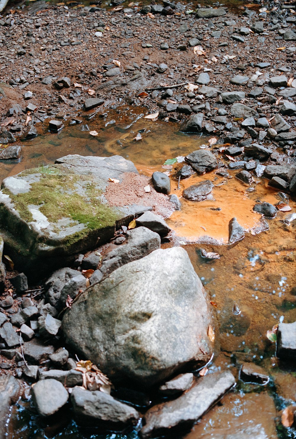 a rock sitting on top of a river next to a forest