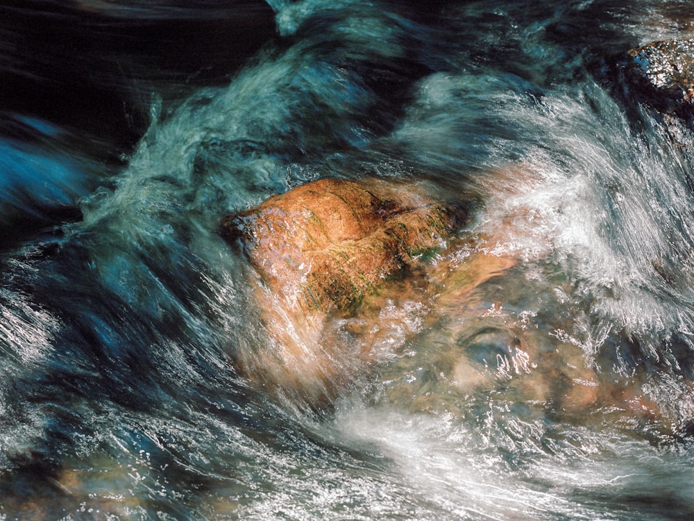 a close up of a rock in a body of water