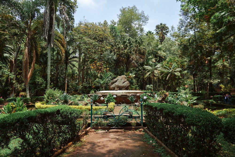 a lush green forest filled with lots of trees