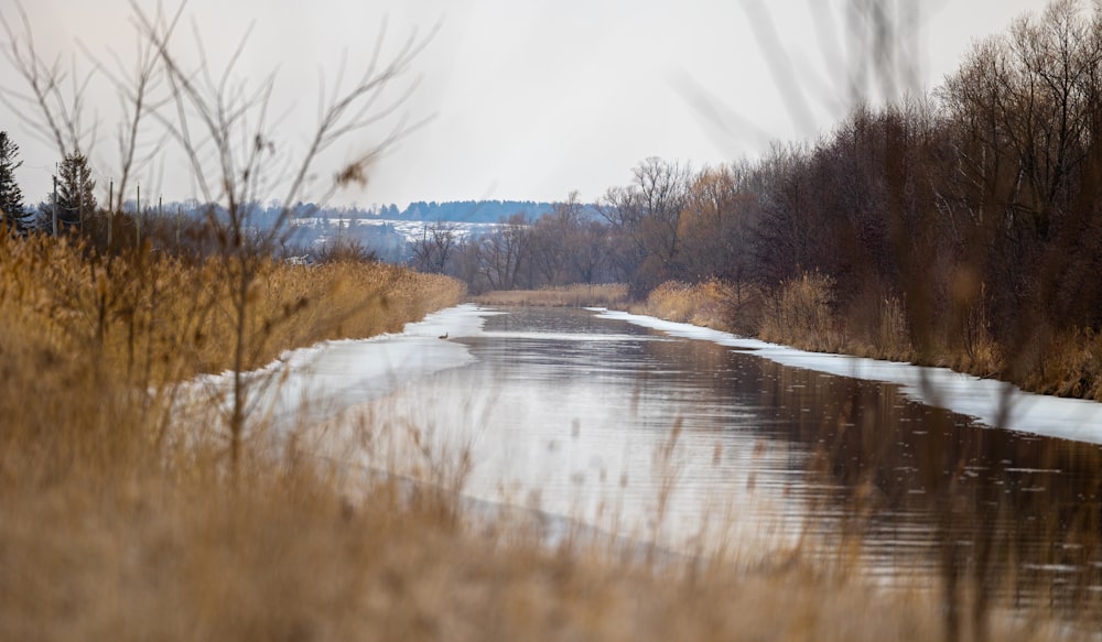 une rivière qui traverse un champ couvert d’herbe sèche