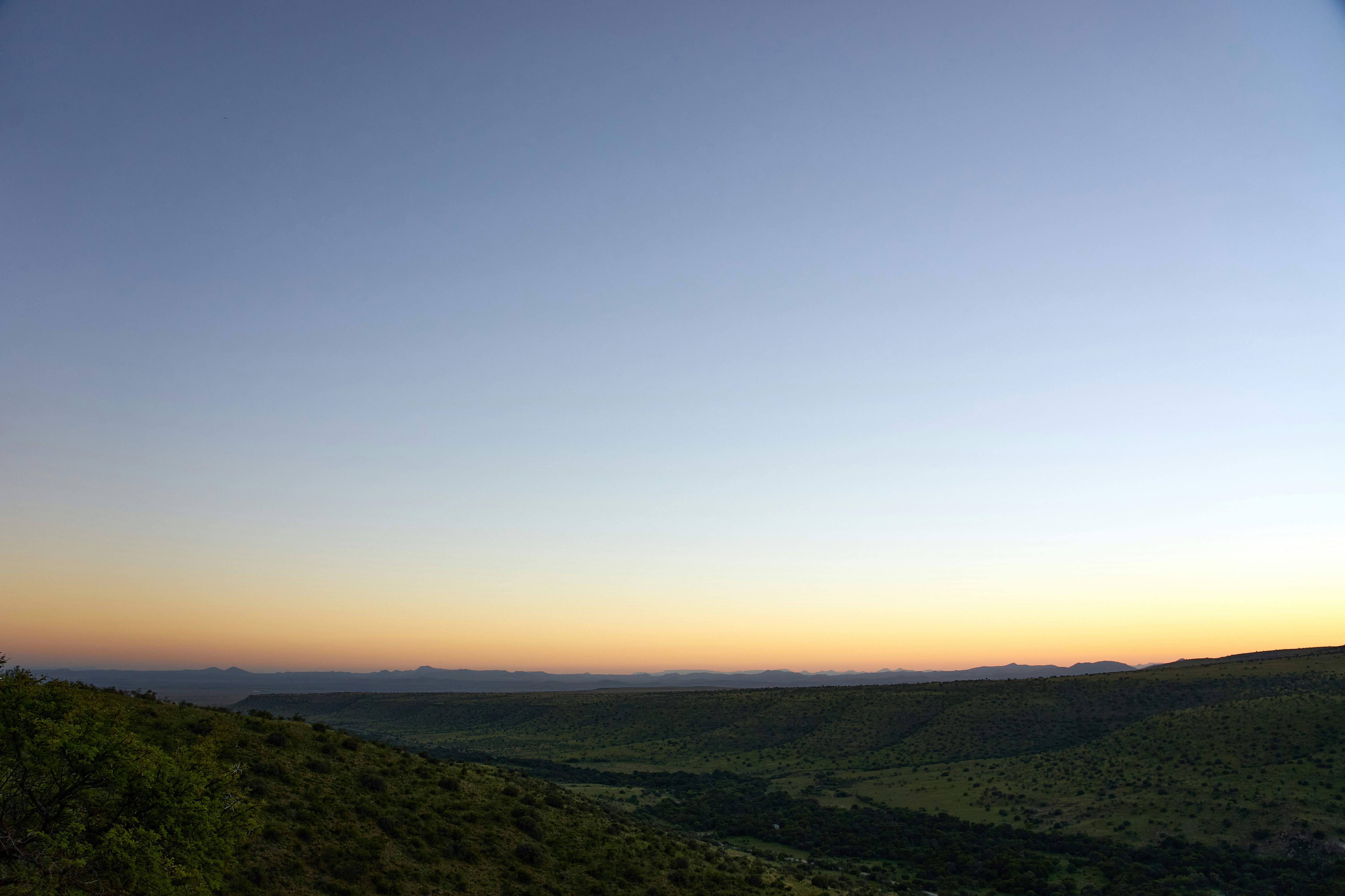 Photo by wolfgang_hasselmann