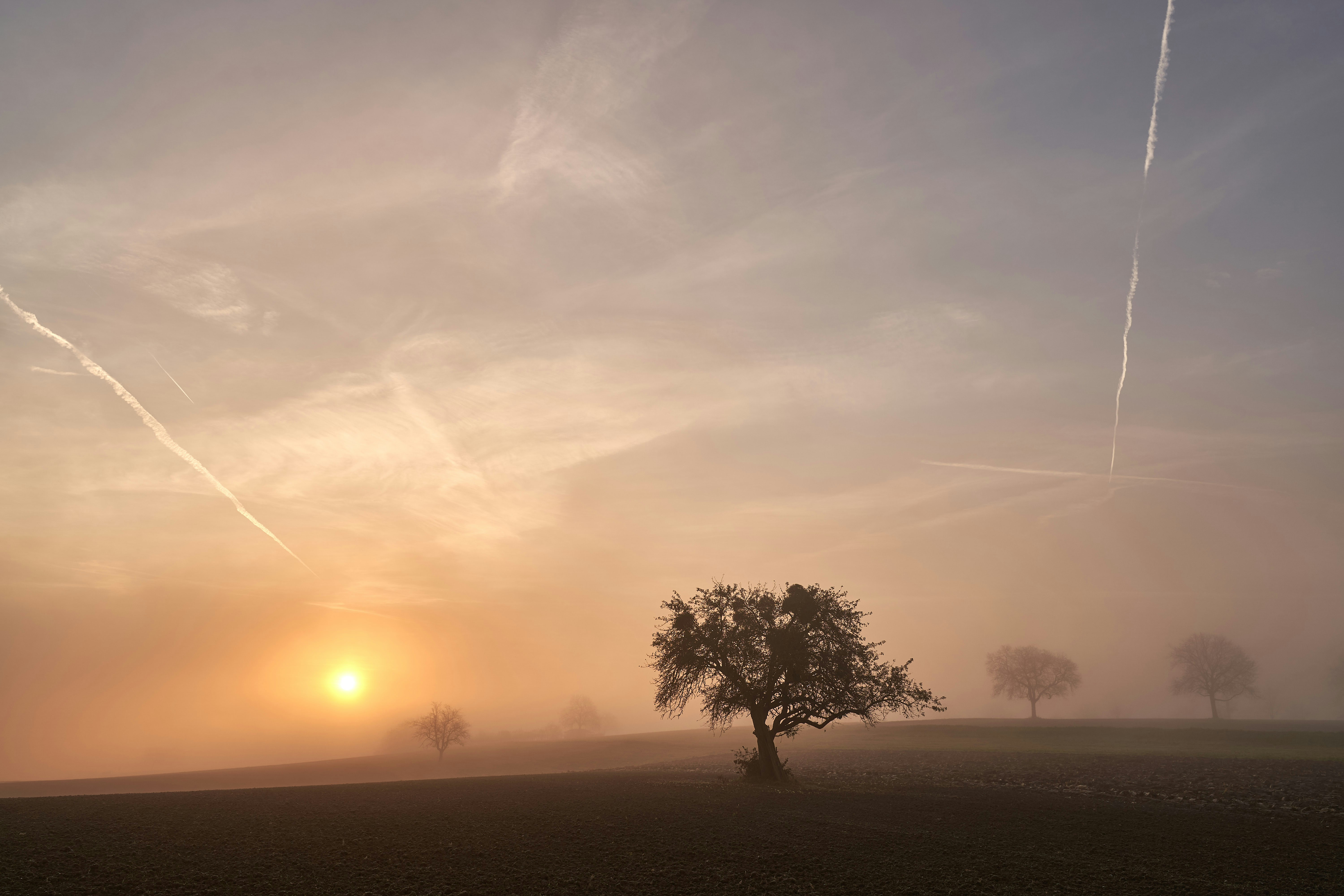 Photo by wolfgang_hasselmann