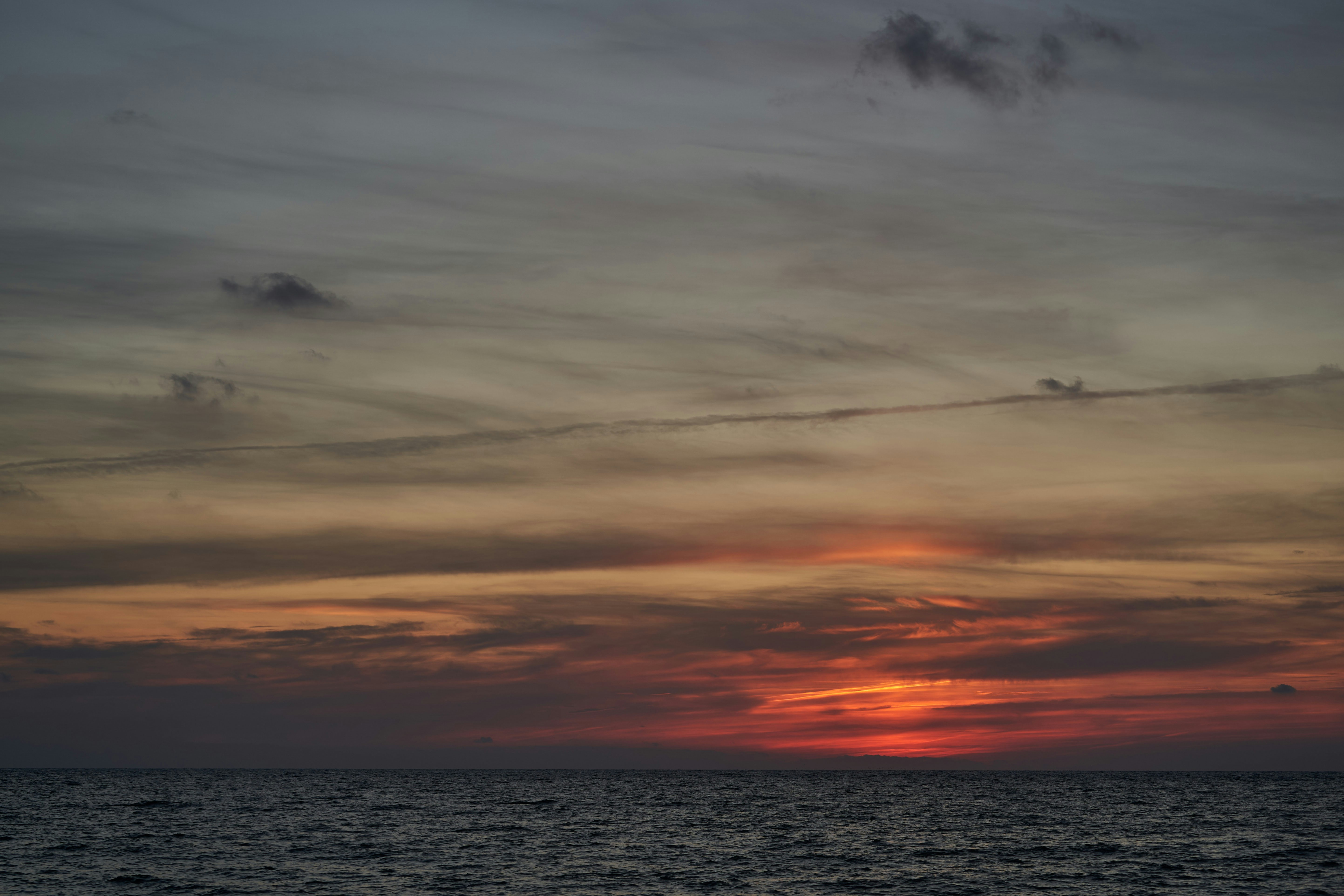 Photo by wolfgang_hasselmann