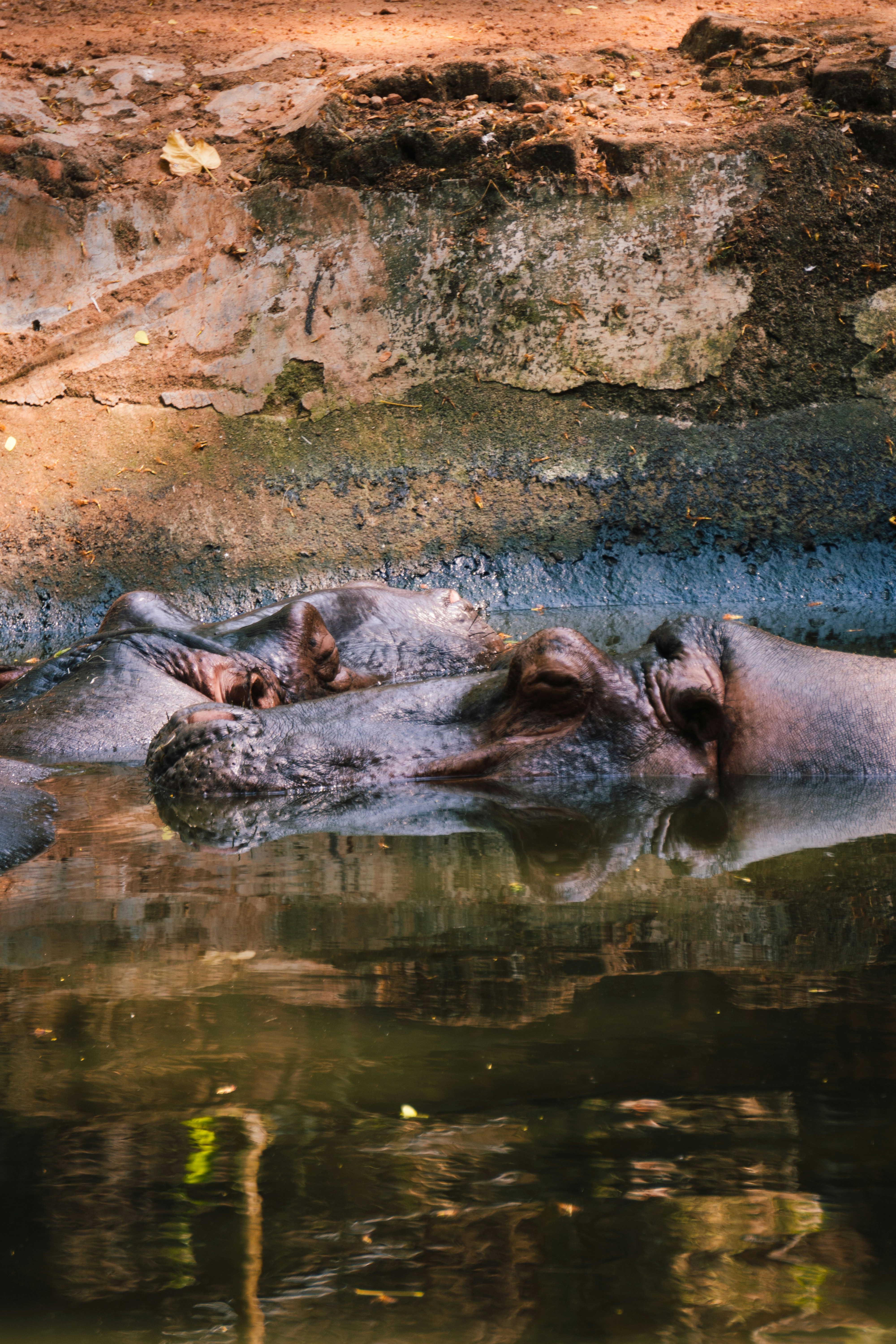 Photo by nanduvasudevan