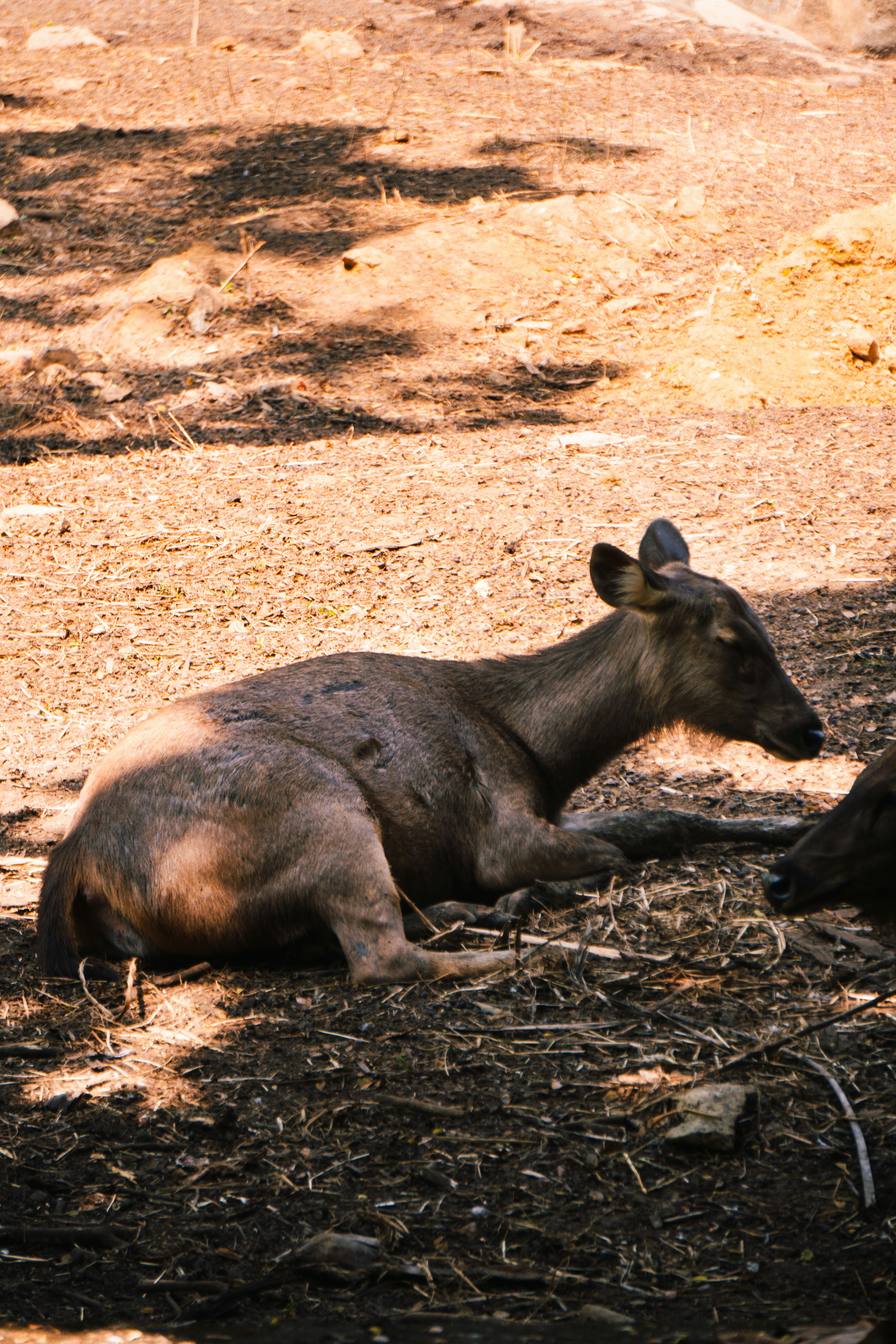 Photo by nanduvasudevan