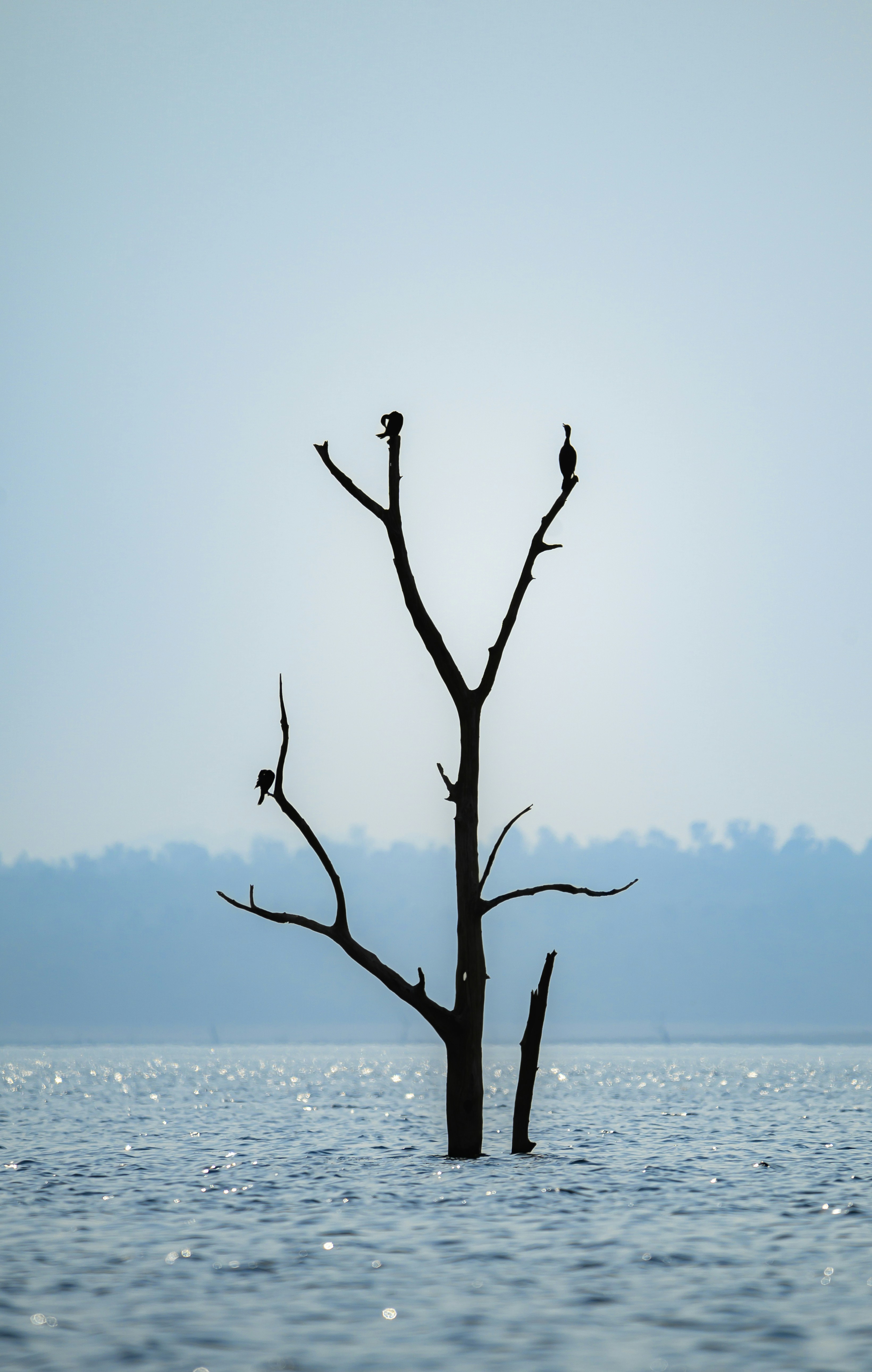 Photo by ravisangar46