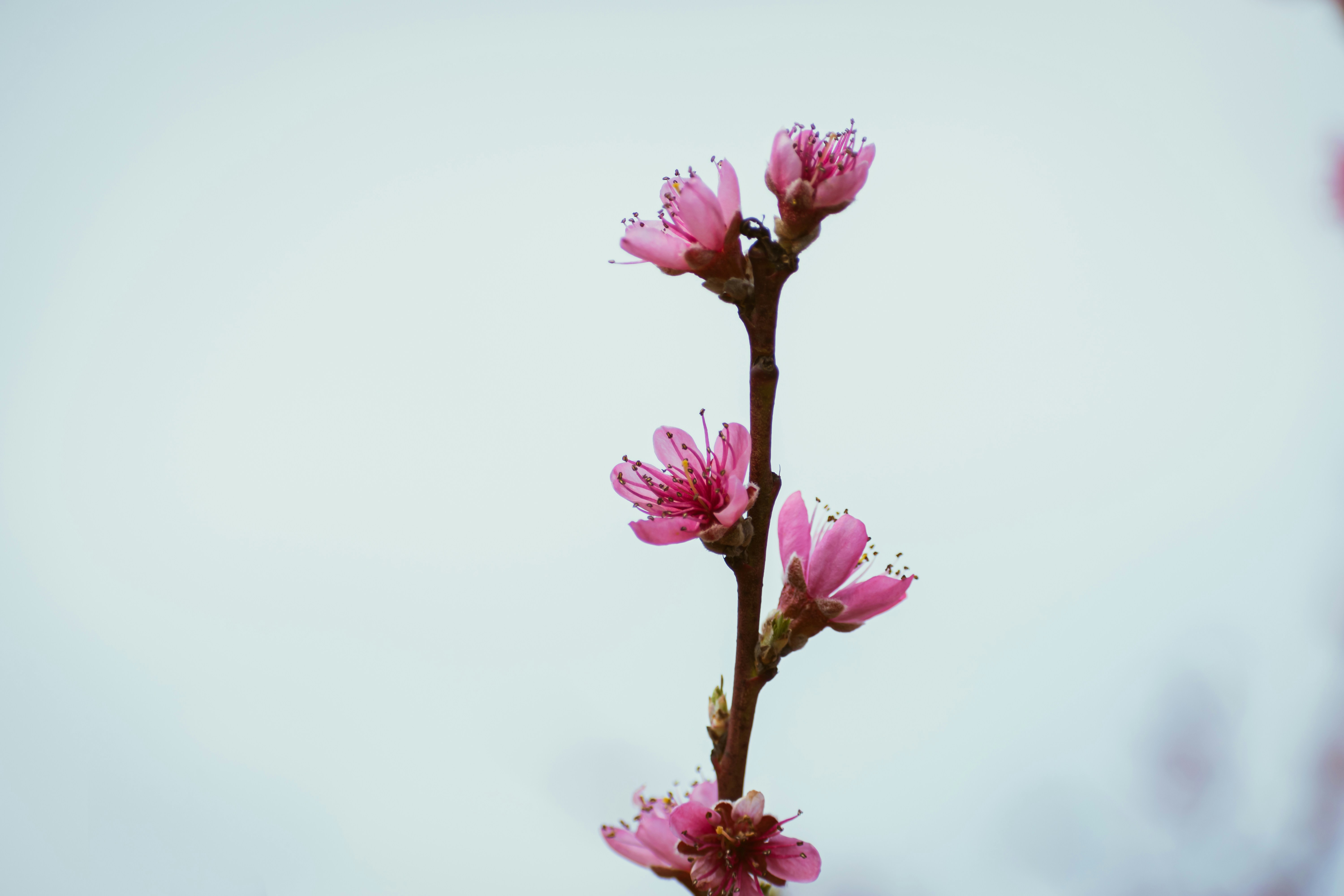 Photo by niki_emmert