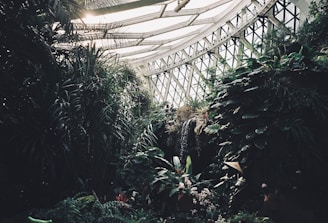 A lush indoor garden filled with dense green foliage, towering plants, and a small waterfall. Overhead, a geometric glass structure allows natural sunlight to illuminate the space, creating a vibrant and serene atmosphere.