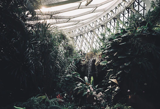 A serene indoor garden with lush greenery framed by sleek, modern architectural elements bathed in warm natural light.