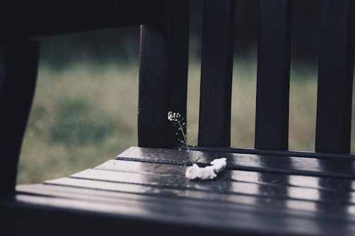 Soft focus image of a white flower wreath resting on a peaceful garden bench.