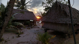 A serene wooden bungalow surrounded by lush tropical greenery on a pristine beach at sunset.
