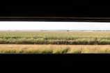 Wide view of a lush agricultural landscape under a clear sky.