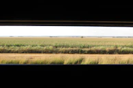 A panoramic view of a diverse farm showcasing all featured crops under a clear blue sky.
