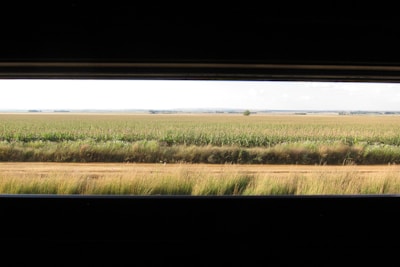 A panoramic view of a modern farm with rows of healthy crops under a clear blue sky.