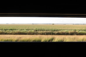 Wide view of a lush agricultural landscape under a clear sky.