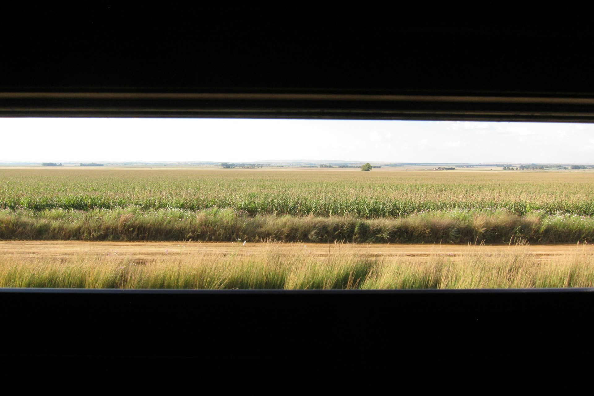 woman wearing yellow long-sleeved dress under white clouds and blue sky during daytime