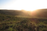 A panoramic view of rolling hills and winding paths bathed in golden sunset light.