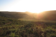 Golden hour landscape with rolling hills bathed in warm sunlight.