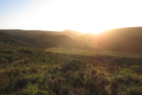 A vibrant landscape photo capturing the golden hour light over rolling hills.