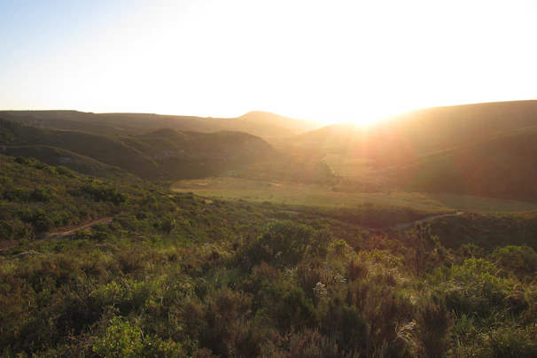 A vibrant landscape bathed in golden hour sunlight with rolling hills.