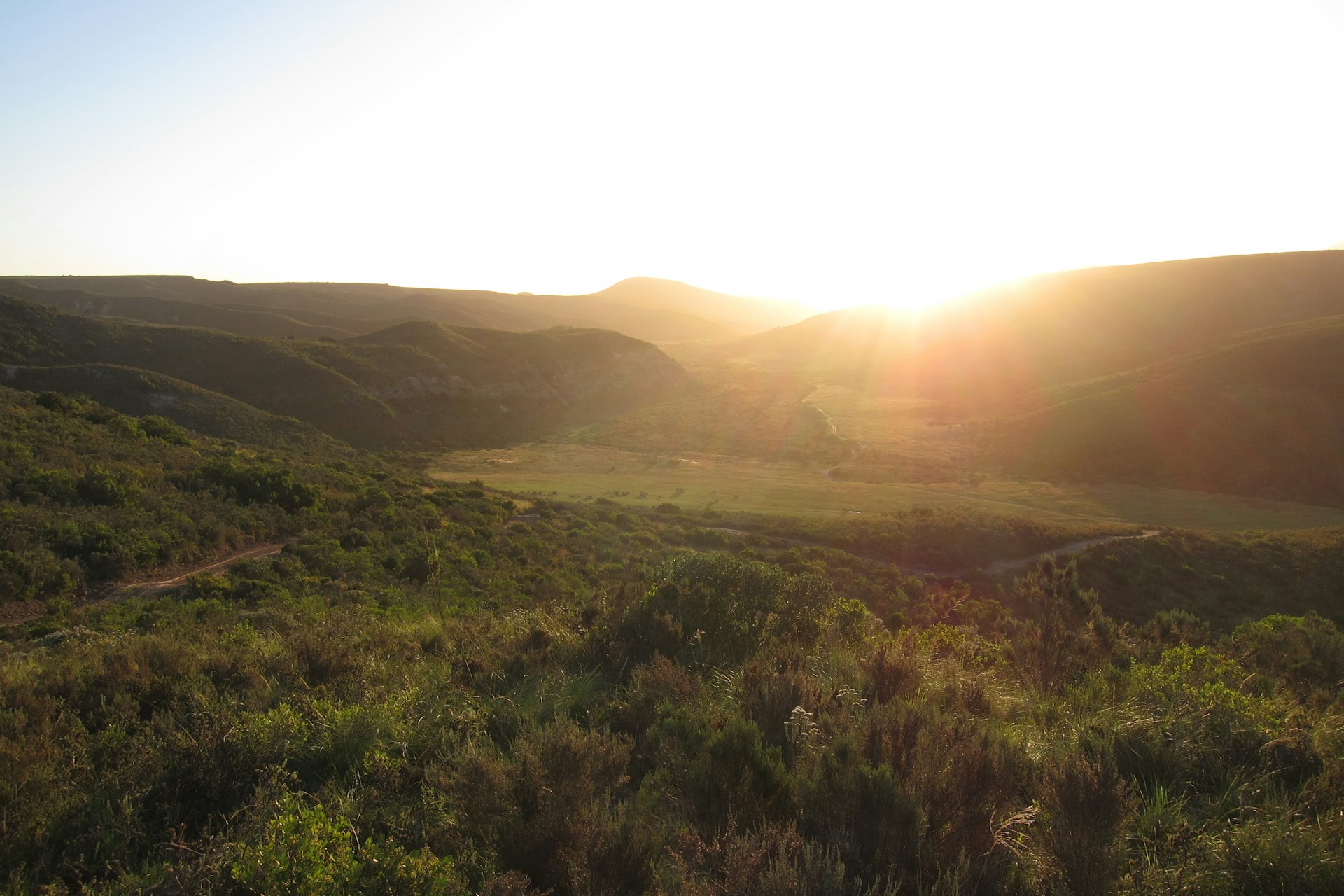 A vibrant landscape shot showcasing golden hour hues over rolling hills.