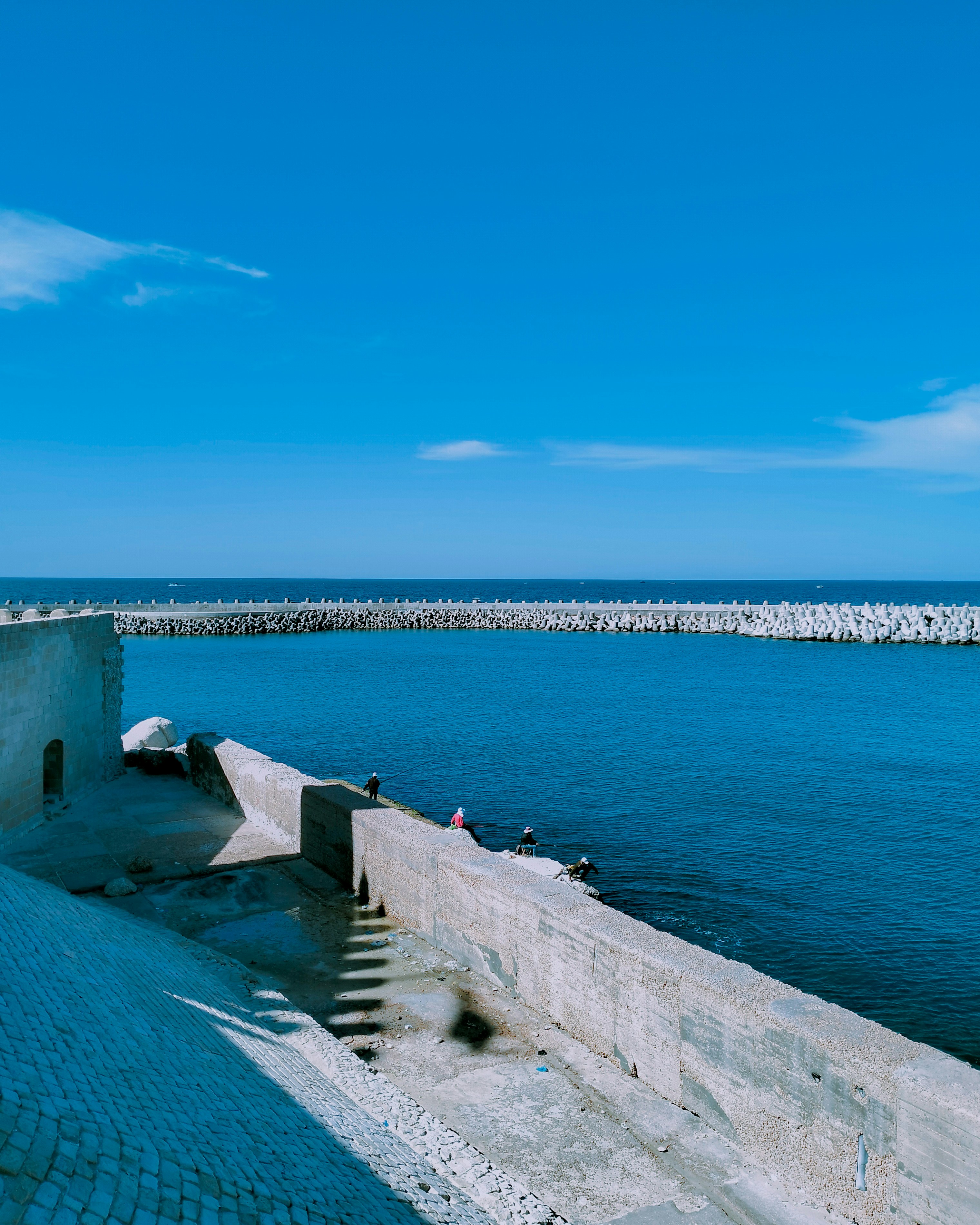 Photo by dasouki_official