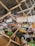 A variety of handbags are displayed on shelves behind a wire mesh. The bags have different colors and styles, hanging from metal racks in a well-lit indoor space. Below the bags, there are shelves stocked with green bottles and other miscellaneous items, suggesting a retail or market setting.