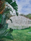 A large geodesic dome structure made of light fabric and thin wooden beams is set in a lush outdoor environment. Surrounding the dome are tall green banana leaves and vibrant grass, under a partly cloudy sky.