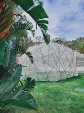 A large geodesic dome structure made of light fabric and thin wooden beams is set in a lush outdoor environment. Surrounding the dome are tall green banana leaves and vibrant grass, under a partly cloudy sky.