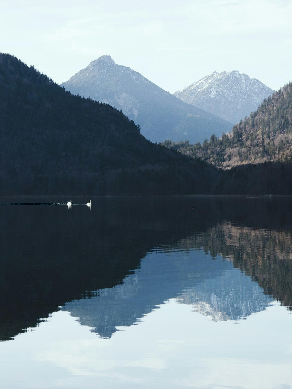 a body of water with mountains in the background