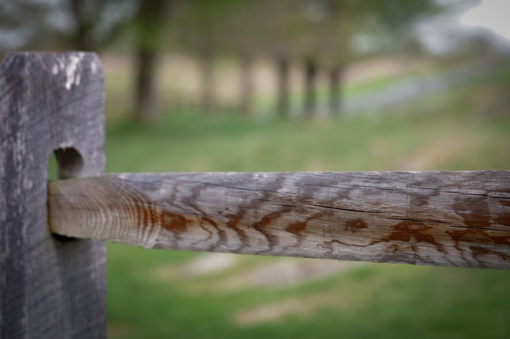 Un primer plano de una valla de madera con hierba en el fondo