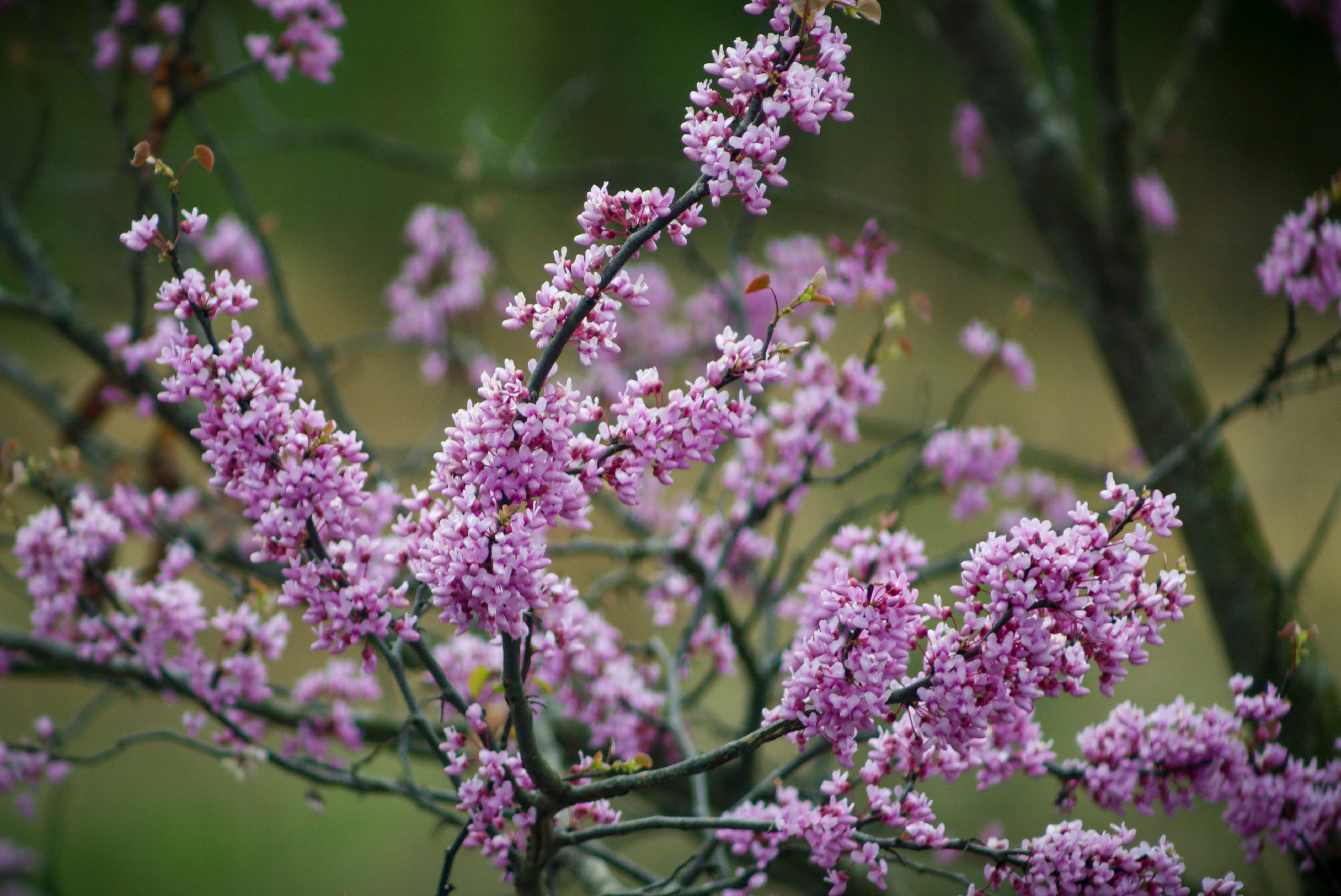 Photo by andre_schofield